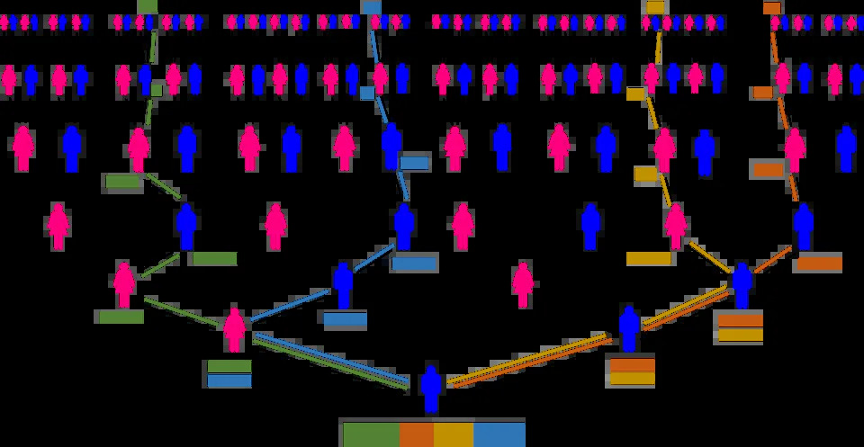 Kaže DNK da ste srodnik Vikinga, srednjovekovnog Jevrejina ili porobljenog Afrikanca iz 1700‑ih? Šta genetsko podudaranje zaista znači
