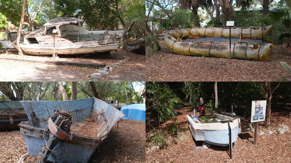 Cuba Back in the Spotlight: Trump’s Remarks, U.S. Pressure, and an Island in Crisis