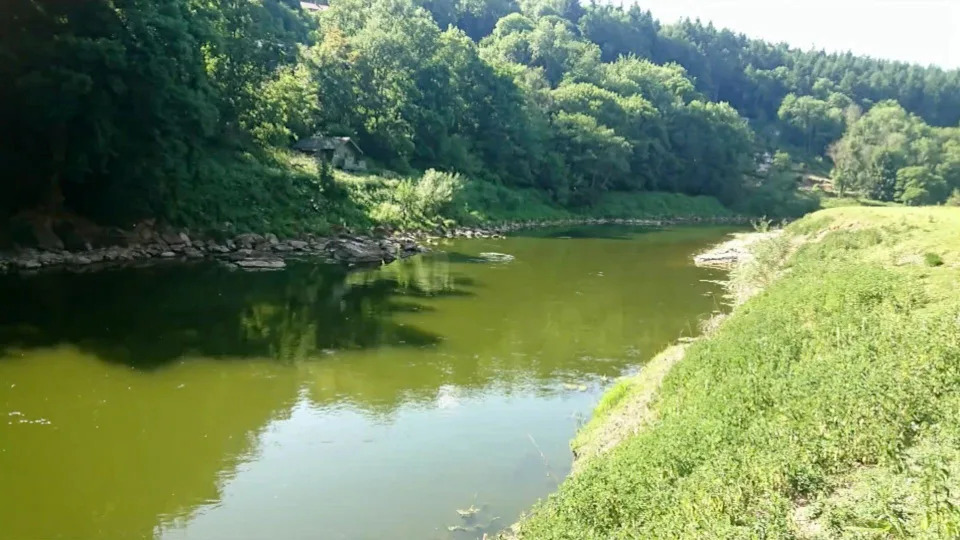 Najveća britanska tužba zbog zagađenja: Više od 4.500 ljudi tuži Avara Foods i Welsh Water zbog zagađenja reka Wye, Lugg i Usk
