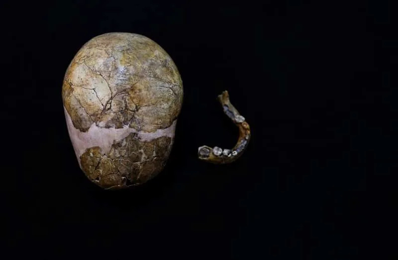 Fosil iz Amud pećine: neandertalska deca rasla su brže od modernih — otkriven najpotpuniji skelet bebe