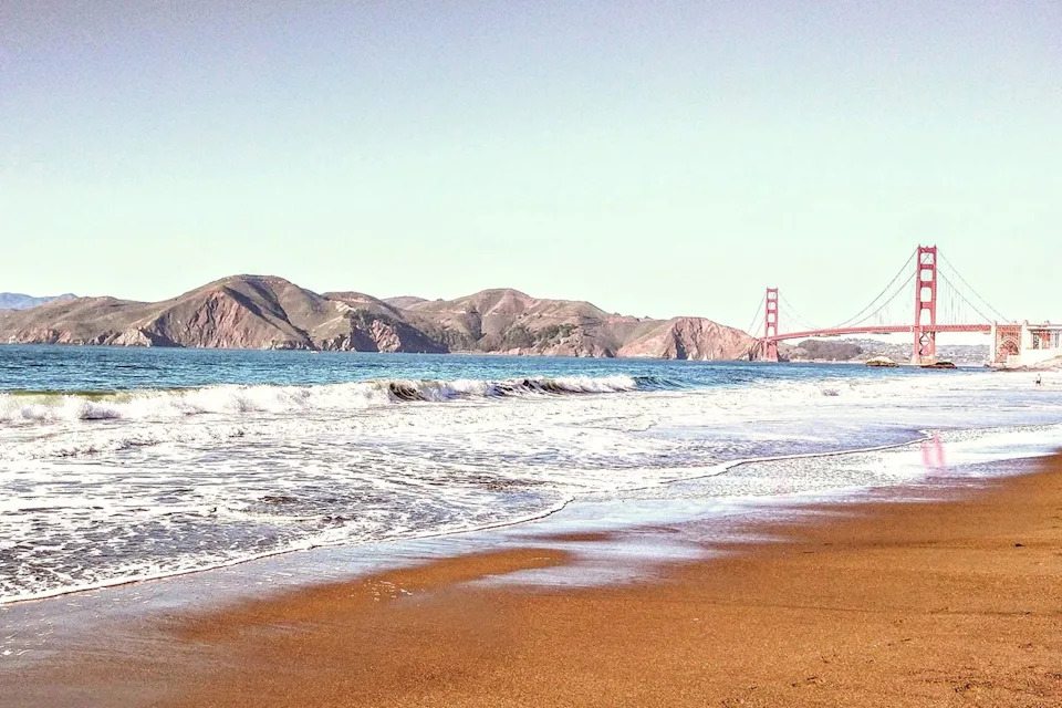 Thousands of Bright Blue 'By‑The‑Wind Sailors' Wash Ashore Near San Francisco's Golden Gate