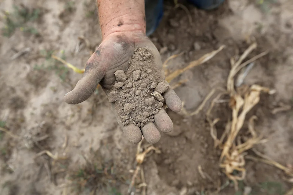 Sledeći „Dust Bowl“ Može Stići — Kako Se Pripremiti Za Sve Veće Suše
