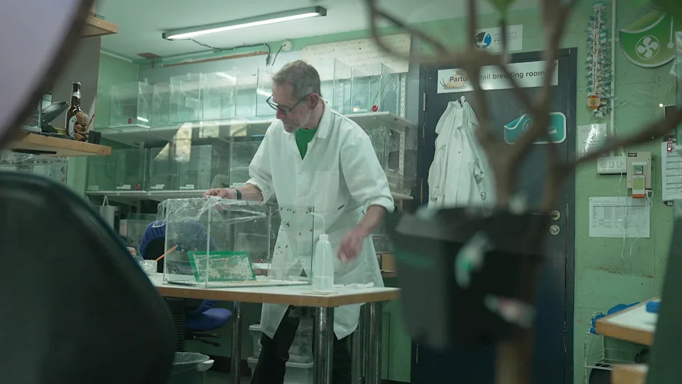 London Zoo Dobija Bolnicu Vrednu £20m — Posetioci Će Moći Da Gledaju Veterinarske Procedure Uživo