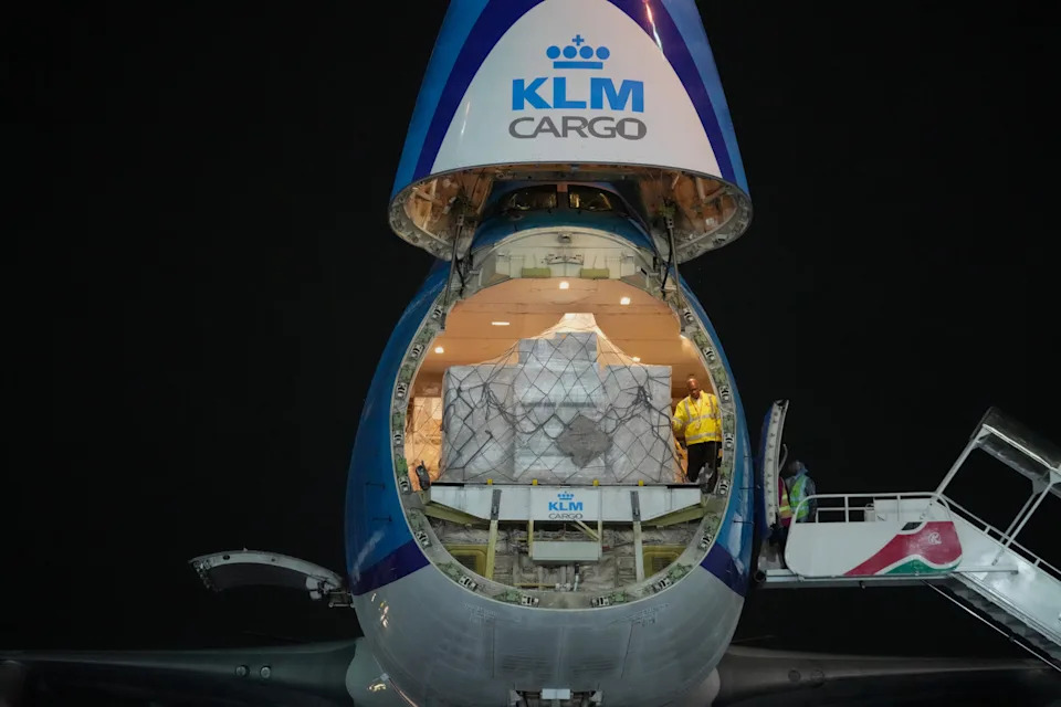 Critically Endangered Mountain Bongos Return Home to Kenya From Czech Zoo