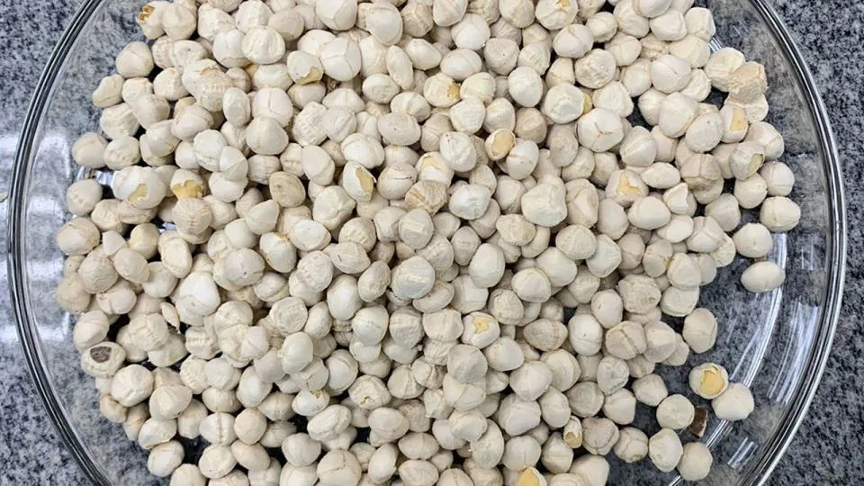 Moringa Filtrira 98,5% PVC Mikroplastike: Prirodno Rešenje Za Pročišćavanje Vode