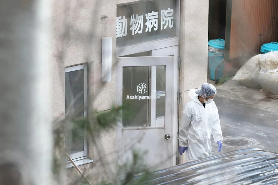 Asahiyama Zoo Closed After Worker Allegedly Burned Wife in On-Site Incinerator, Police Say