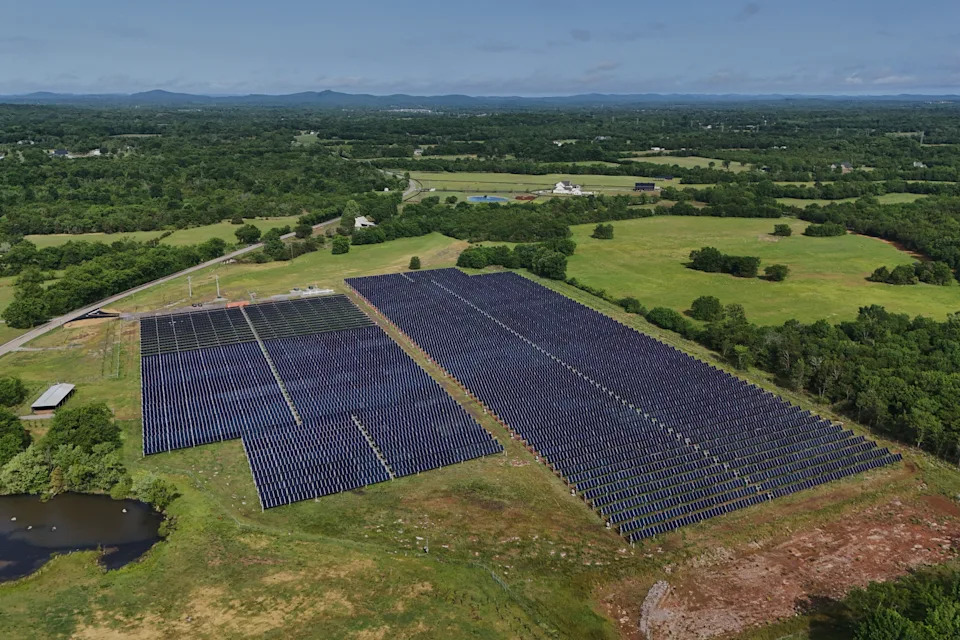 Solarna farma u Tennesseeju pokazuje kako ispaša goveda ispod panela može biti dobitna za poljoprivredu i energiju