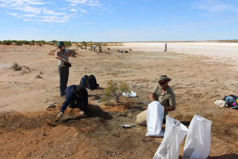 25-Million-Year-Old Platypus Had Crushing Teeth — New South Australian Fossils Reveal