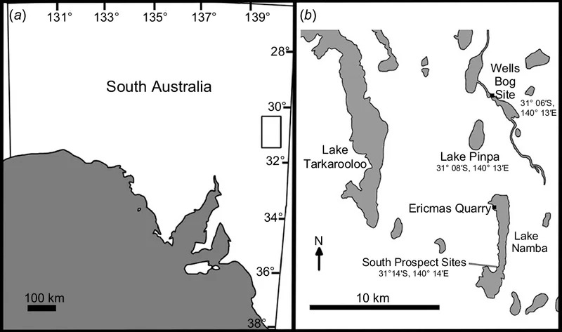 25-Million-Year-Old Platypus Had Crushing Teeth — New South Australian Fossils Reveal