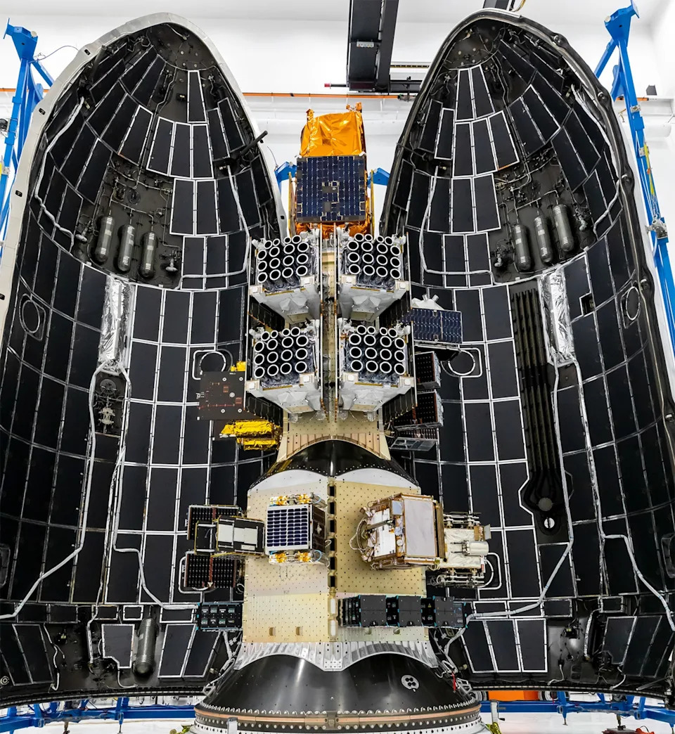 Kako Projekat ICARUS Namerava Da Nadzira Životinje Iz Niske Zemljine Orbite