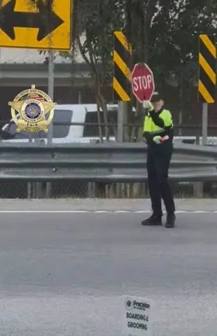 Beloved Crossing Guard Katy Wells Fatally Struck by Alleged Drunk Driver During School Dismissal in Louisiana