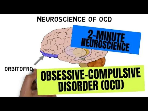 Novo moždano otkriće objašnjava preklapanje Touretteovog sindroma i OCD — put između pokreta i emocija