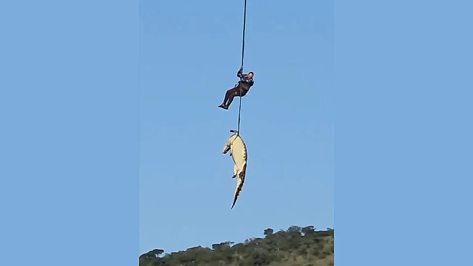 Helikopterom izvučen ogroman krokodil: sumnja se da je pojeo nestalog 59-godišnjaka