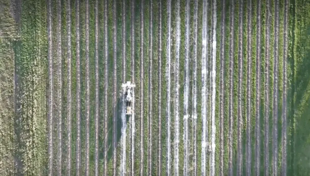 Pena Za Prskanje Koja Može Spasiti Useve Od Prolećnih Mrazeva