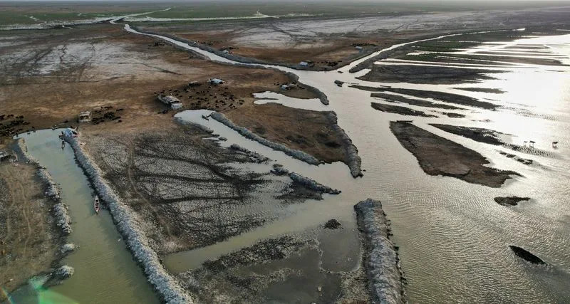 Iračke močvare oživljavaju: voda se vraća, stočari i ribari se vraćaju kućama