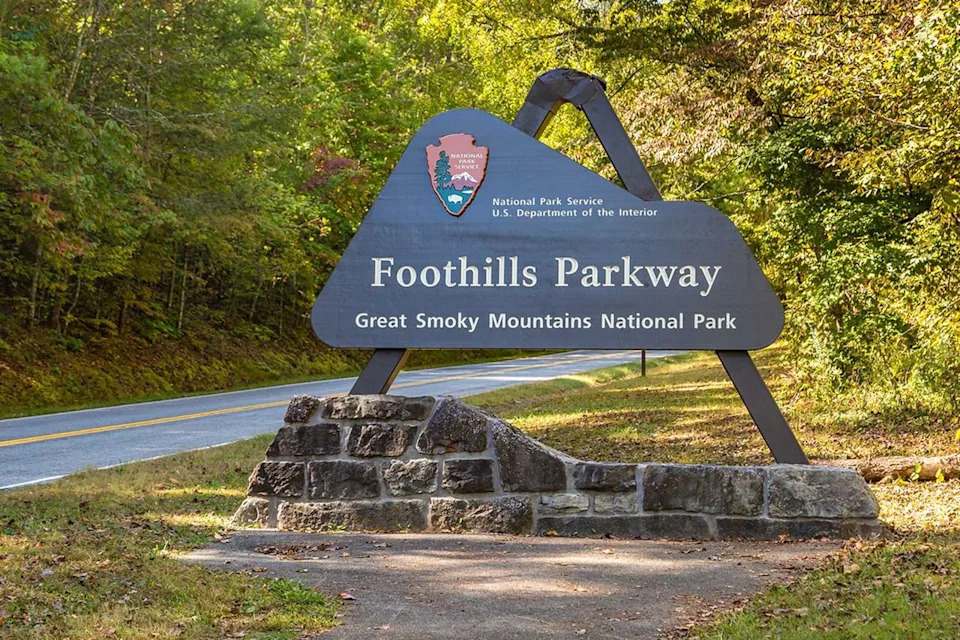 33 Black Vultures Found Dumped Along Foothills Parkway in Great Smoky Mountains — NPS Seeks Tips