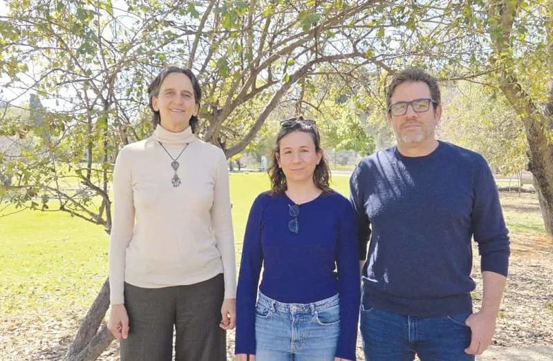 Veštačko Noćno Osvetljenje Poremeti Imunitet: Studija Tel Aviva Povezuje ALAN Sa 2,35× Višom Smrtnosti
