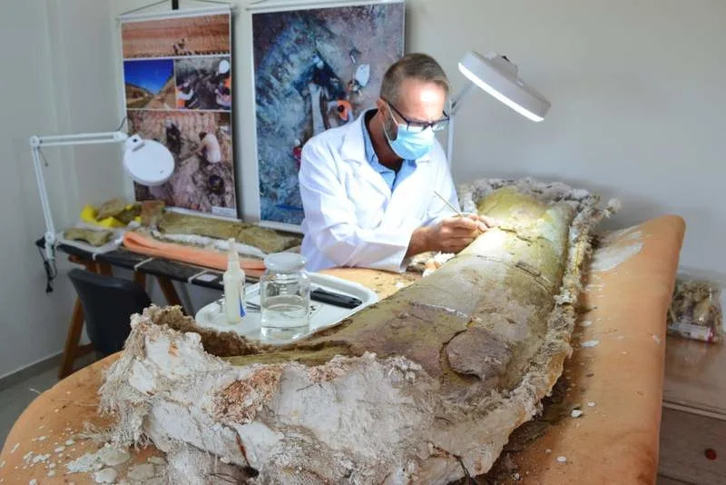 Otkriven Dasosaurus tocantinensis — divovski sauropod (≈120 Ma) i tragovi drevne rute iz Evrope ka Južnoj Americi