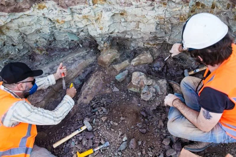 Otkriven Dasosaurus tocantinensis — divovski sauropod (≈120 Ma) i tragovi drevne rute iz Evrope ka Južnoj Americi