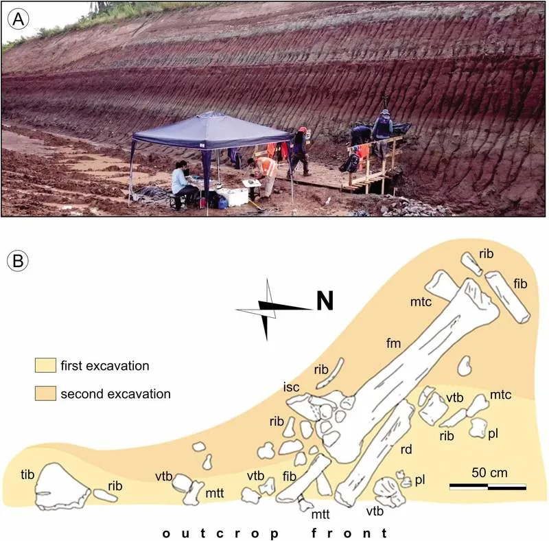 Otkriven Dasosaurus tocantinensis — divovski sauropod (≈120 Ma) i tragovi drevne rute iz Evrope ka Južnoj Americi