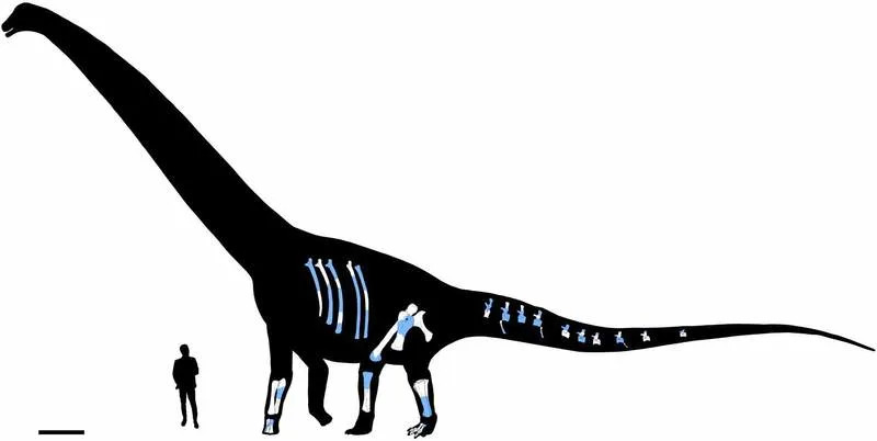 Otkriven Dasosaurus tocantinensis — divovski sauropod (≈120 Ma) i tragovi drevne rute iz Evrope ka Južnoj Americi