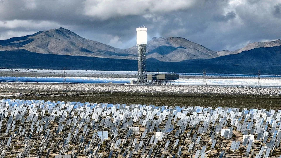 Investigation: Obama-Era Ivanpah Solar Plant Kills Thousands Of Birds Annually — Regulators Cite No Fines