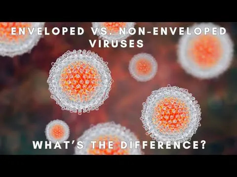 Ultrazvuk u laboratoriji razorio H1N1 i SARS‑CoV‑2 — nova nada protiv envelopiranih virusa