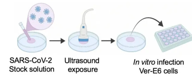 Ultrazvuk u laboratoriji razorio H1N1 i SARS‑CoV‑2 — nova nada protiv envelopiranih virusa