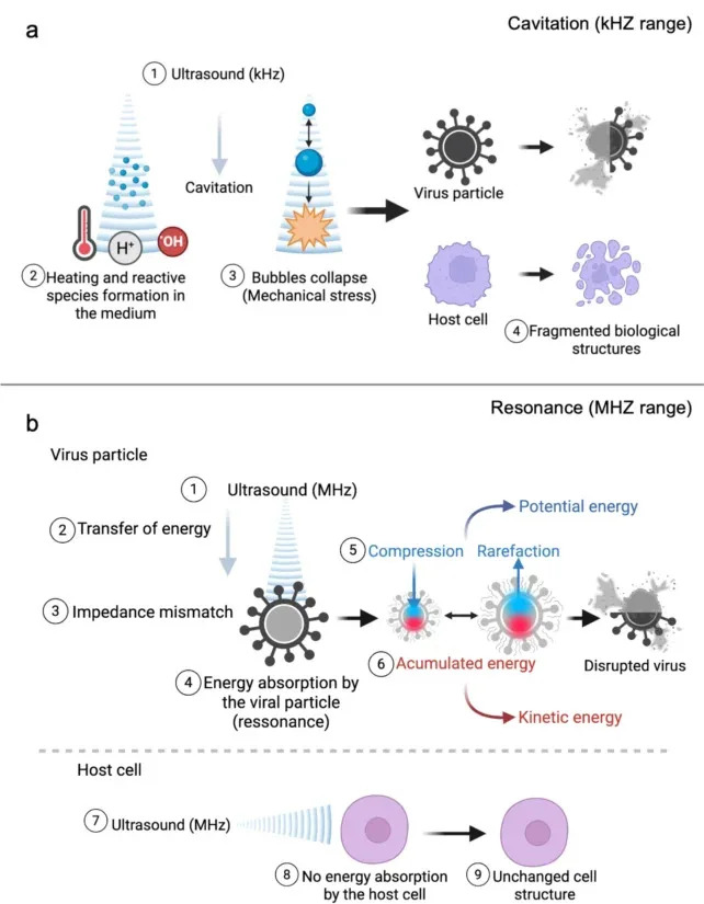 Ultrazvuk u laboratoriji razorio H1N1 i SARS‑CoV‑2 — nova nada protiv envelopiranih virusa