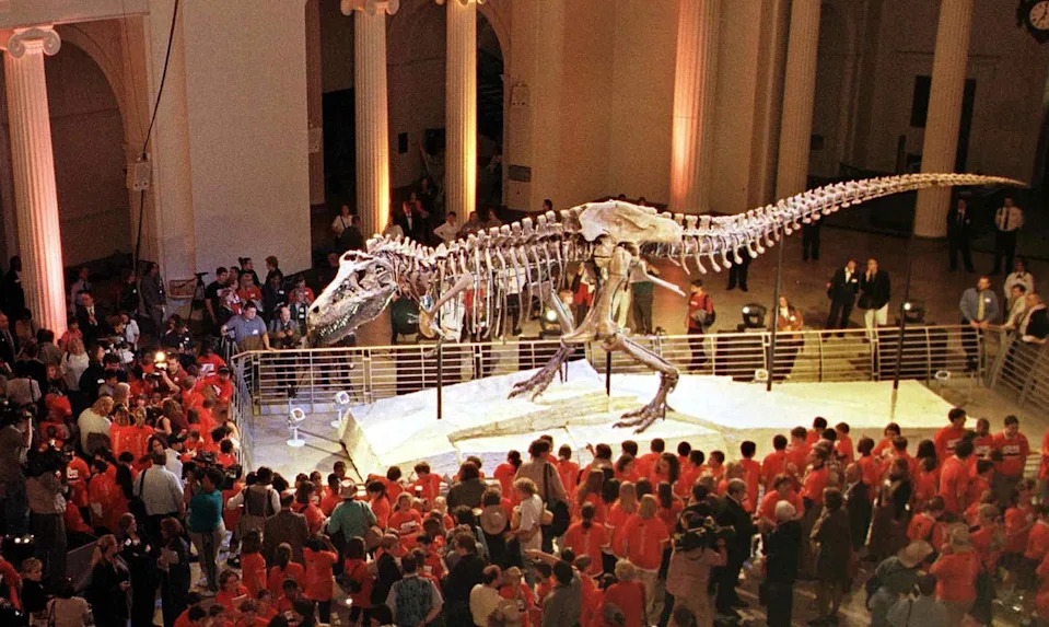 Zašto je Tyrannosaurus rex imao tako male ruke? Novi pogledi na staru zagonetku