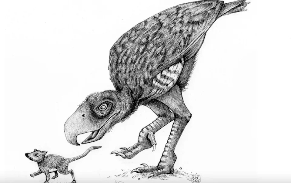 Zašto ne postoje ptice veličine slonova? Kako su ptice nastale iz dinosaurusa