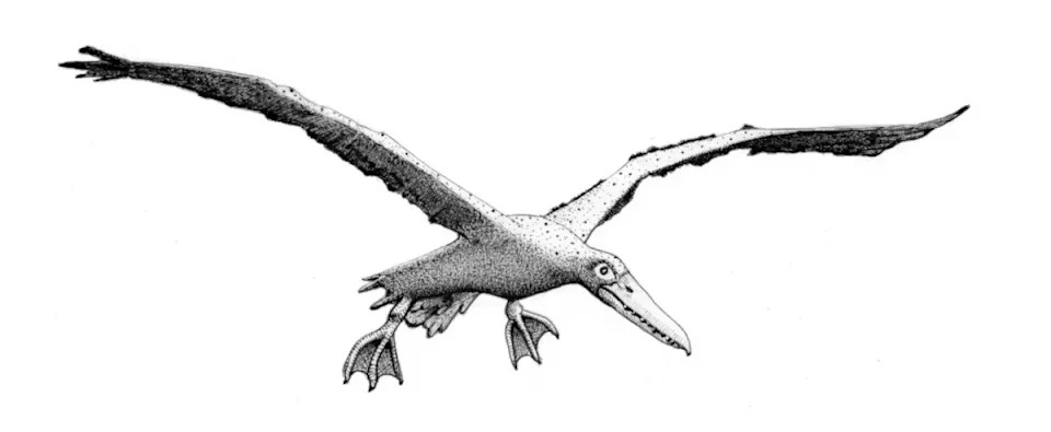 Zašto ne postoje ptice veličine slonova? Kako su ptice nastale iz dinosaurusa