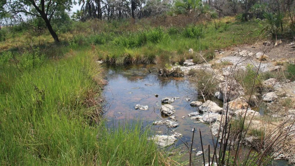 Novi geokemijski dokazi: Kafue Rift možda ulazi u rane faze formiranja nove granice tektonskih ploča