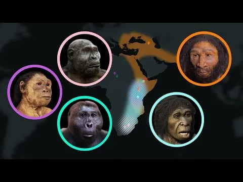 Proteini Stari 400.000 Godina Otkrivaju Genetsko Mešanje Između Homo erectus‑a i Denisovana