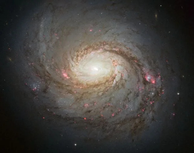 JWST Otkrio Skriveni „Bar“ u Srcu Galaksije Hobotnica (M77) — Prsten Zvezdanog Potopa i Tragovi Crne Rupe