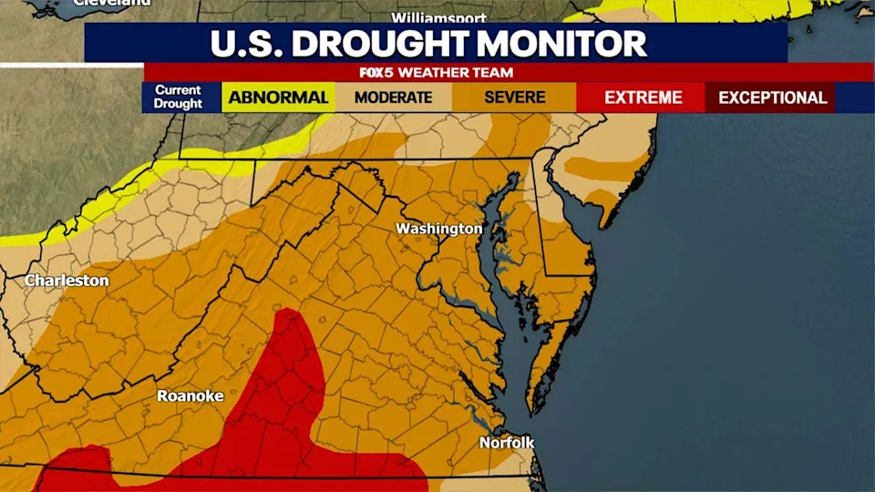 A 'Super' El Niño Is Forming — What It Could Mean for Washington, D.C.'s Weather