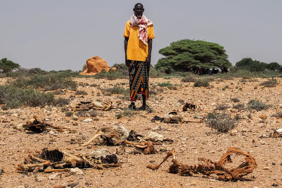 Somalija Pred Kolapsom: Suša Koja Bi Mogla Biti Najgora — Humanitarna Pomoć Drastično Smanjena