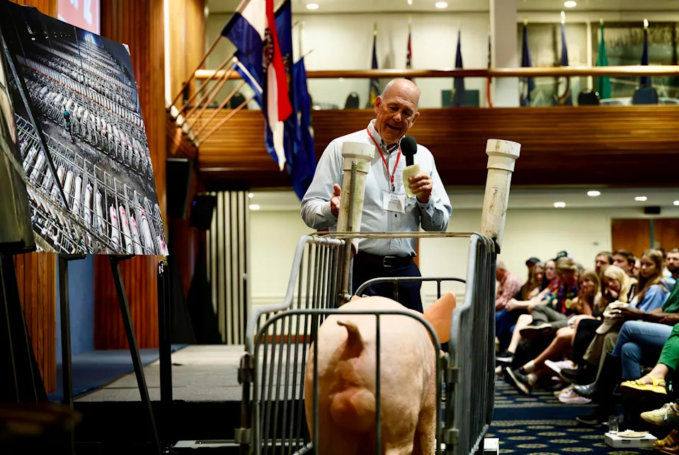 Congress Could Overturn Voter-Backed Bans On Pig Gestation Crates — What’s at Stake