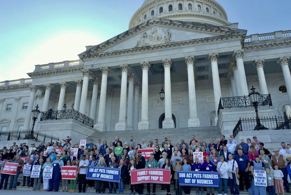 Congress Could Overturn Voter-Backed Bans On Pig Gestation Crates — What’s at Stake
