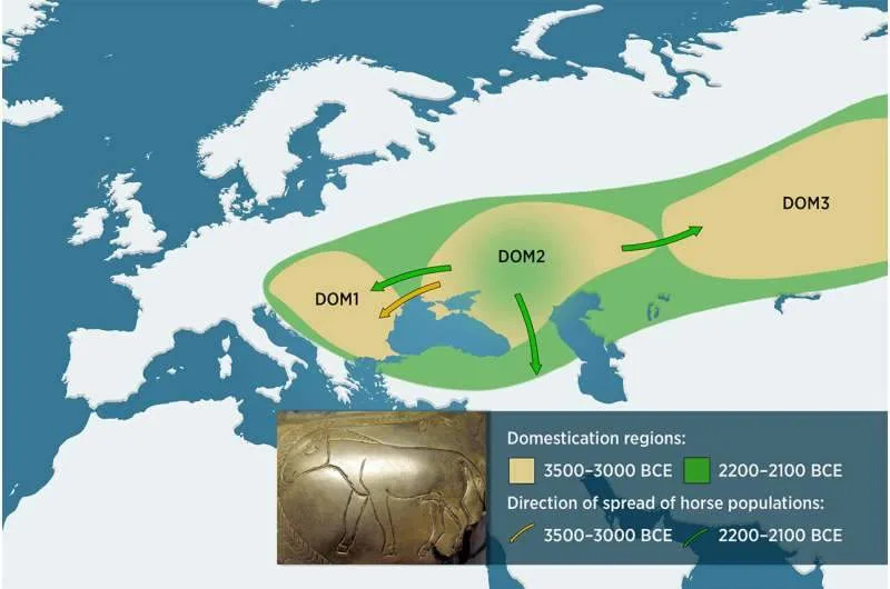 Pre Kočija i Carstava: Kako Su Ljudi Postepeno Domestikovali Konja