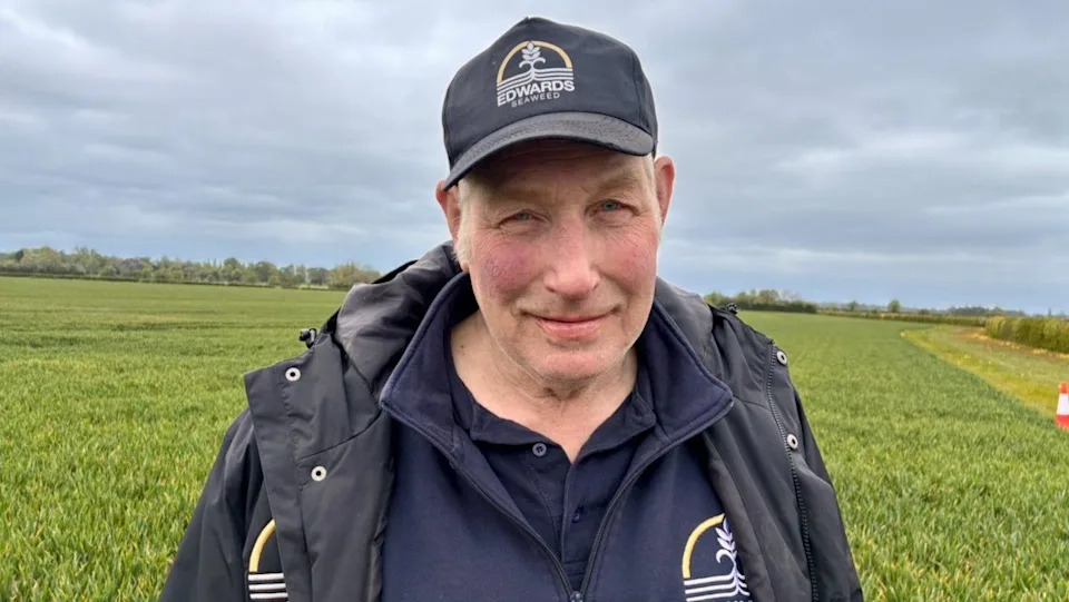 Dronovi Šire Morske Alge Po Poljima: Britanski Farmeri Traže Alternativu Skupljim Đubrivima