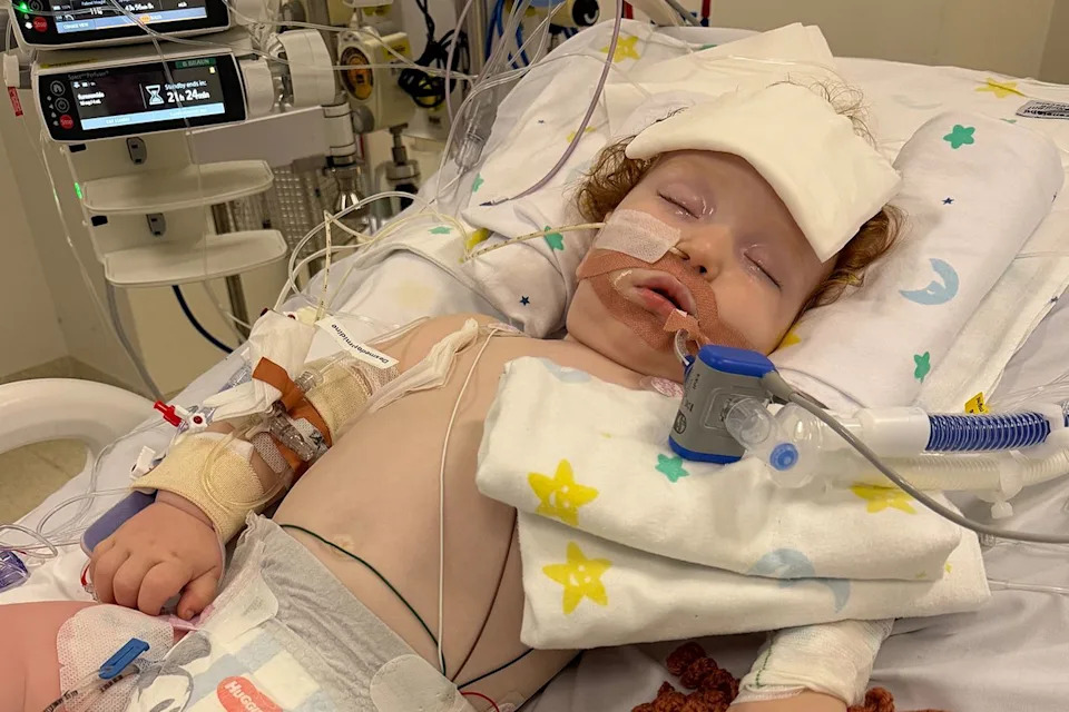 Urgent Recall: Metallic Cake-Decorating Dust Withdrawn After Toddler Hospitalised — ACCC Warns