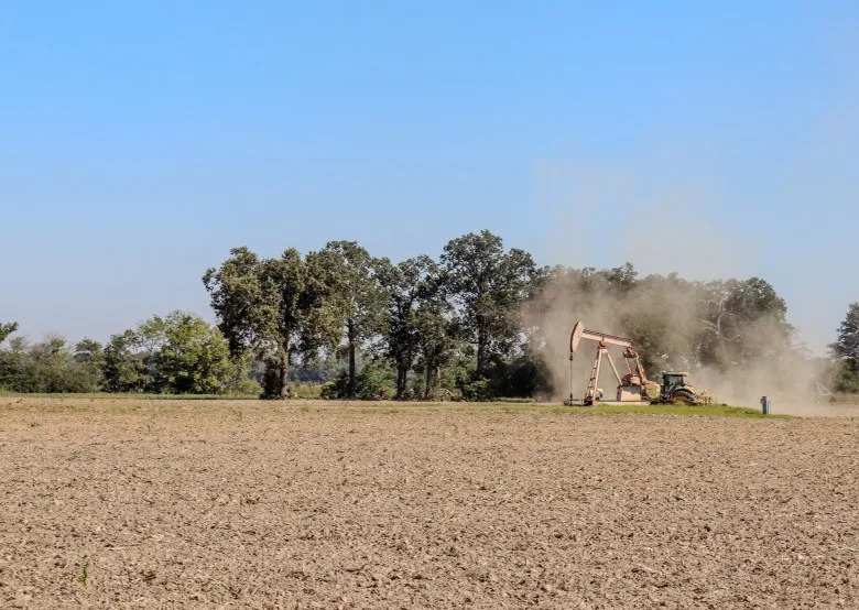Skrivena klimatska pretnja: Kako rast CO2 osiromašuje hranljivost hrane u crnačkim zajednicama