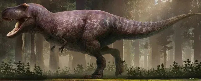 Zašto je T. rex Imao Tako Male Šape? Nova Studija Povezuje To Sa Masivnim Vilicama
