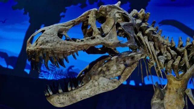 Zašto je T. rex Imao Tako Male Šape? Nova Studija Povezuje To Sa Masivnim Vilicama