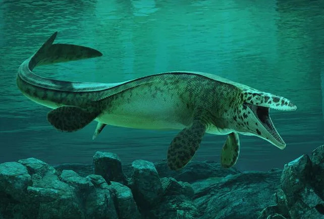 Div Iz Dubina: Tylosaurus rex — Novi Predator Otkriven U Muzejskoj Kolekciji