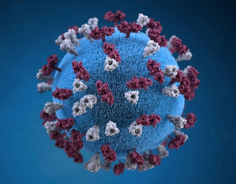 Measles Outbreak in Bangladesh: Over 500 Child Deaths; 8,494 Confirmed Cases