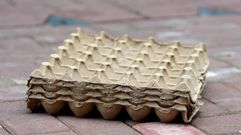 In Hong Kong’s Shadows: How ‘Cardboard Grannies’ Scavenge to Survive