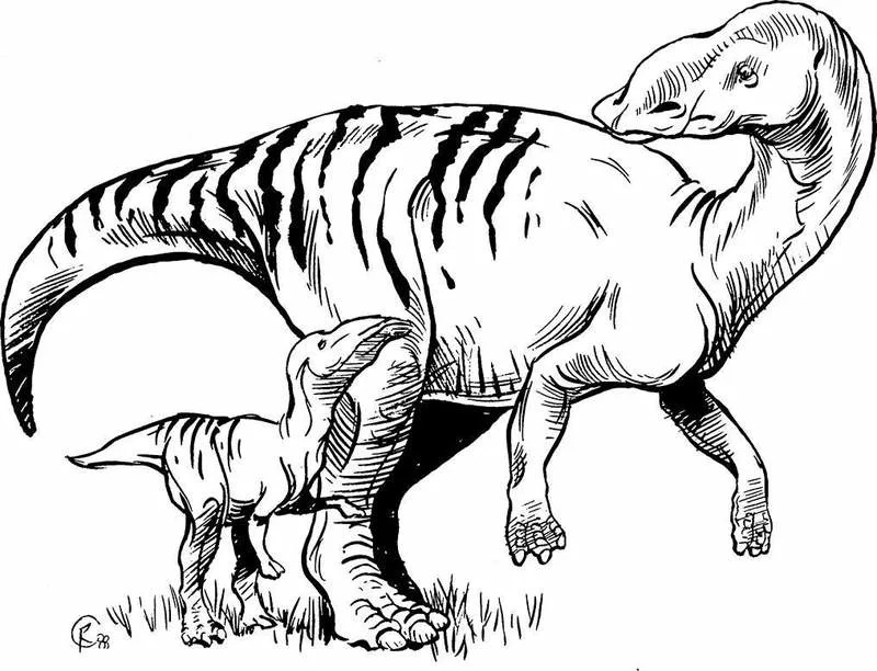 Fosilni Tragovi Pokazuju: Maiasaura Majke Su Hranile Mladunce Mekšom, Nutritivnijom Ishranom