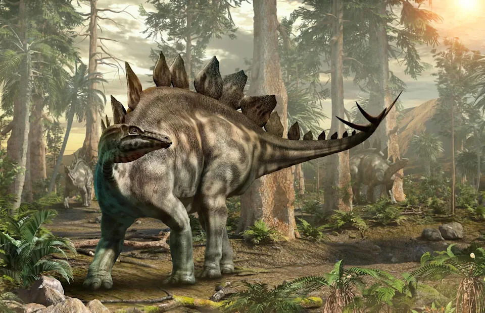 Skoro Cela Lobanja Stegosaura Izmenila Nauku: Otkriven Novi Ogranak Neostegosauria